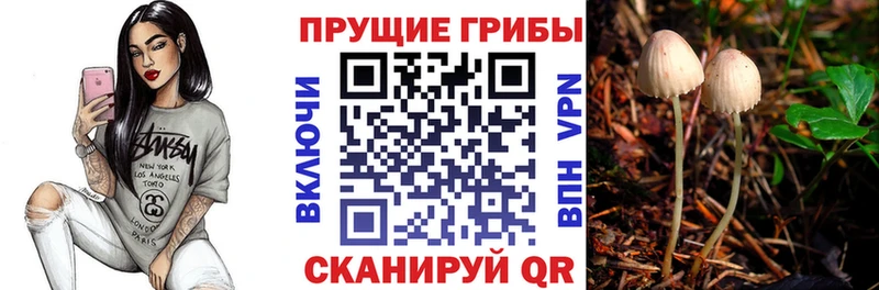 MEGA ТОР  Одинцово  Галлюциногенные грибы GOLDEN TEACHER 